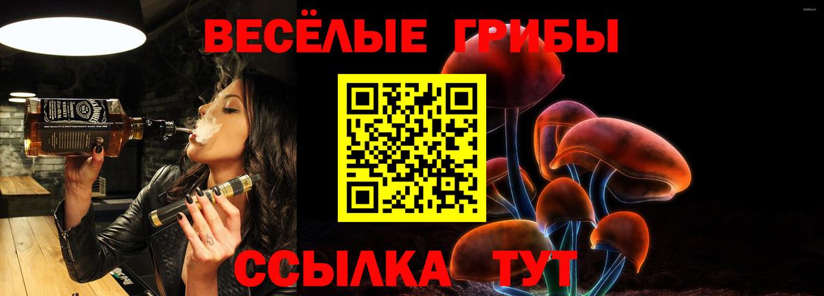 Галлюциногенные грибы MAGIC MUSHROOMS  Вход с VPN  Гай 